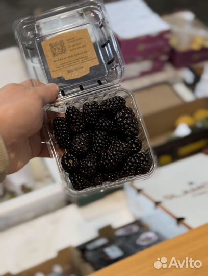 Ягоды: клубника,малина,голубика,ежевика