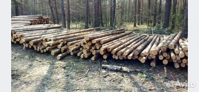 Деревянные столбы, дрова из сосны купить в Пролетарии | Товары для дома ...