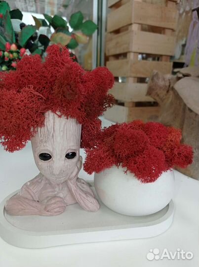 Гипсовый Грут с ягелем