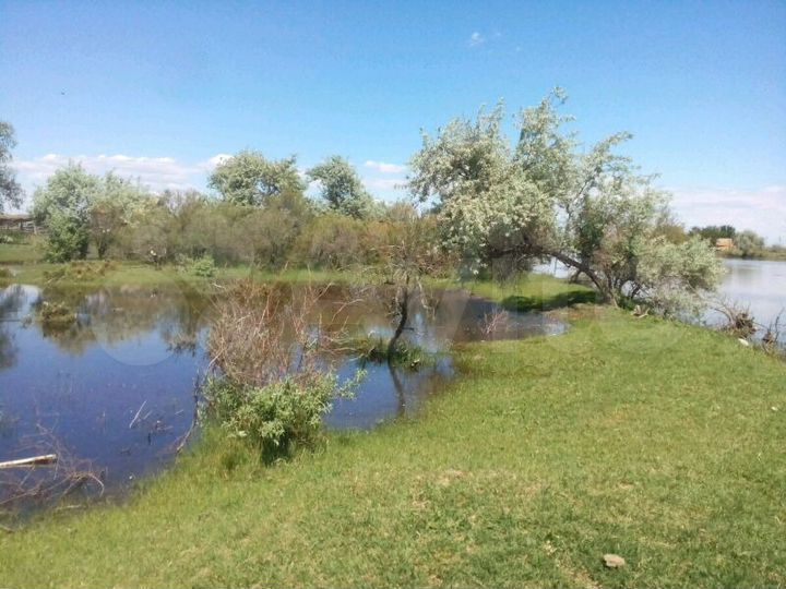 Участок 8 сот. (ИЖС)