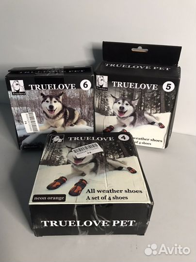 Обувь для собак