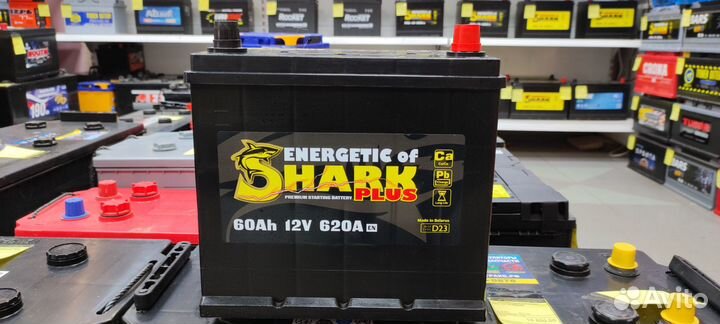 Аккумулятор Shark 60 Ah 620A En