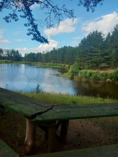 Участок 6 га (СНТ, ДНП)