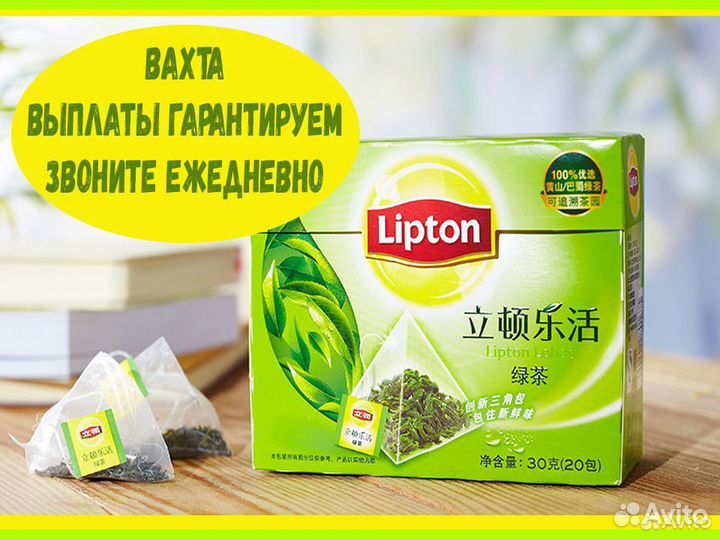 Вахта без опыта Упаковщик чая Еженедельные выплаты