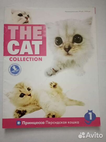 Журналы The cat
