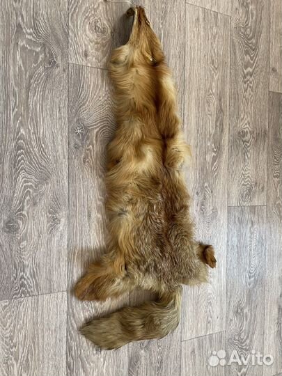 Лисья шкура