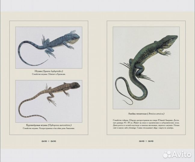 Книга рептилии
