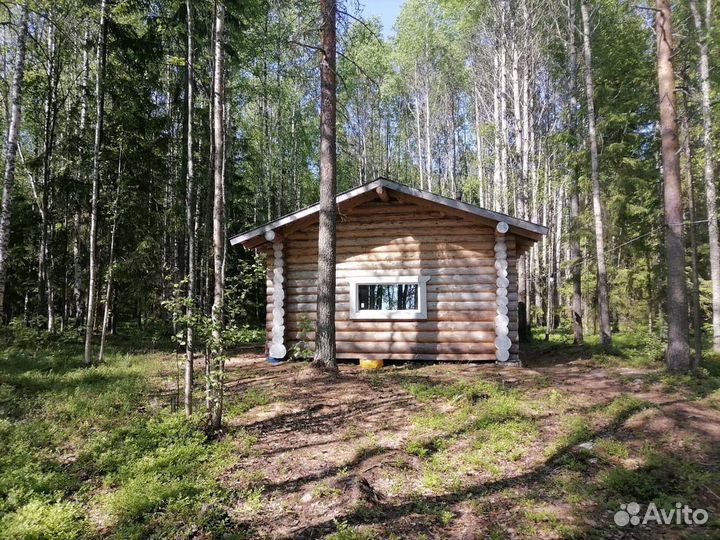 Отдых и рыбалка на озере в Карелии