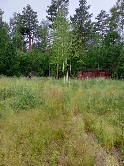 Участок 8 сот. (СНТ, ДНП)