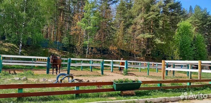 Постой для лошадей