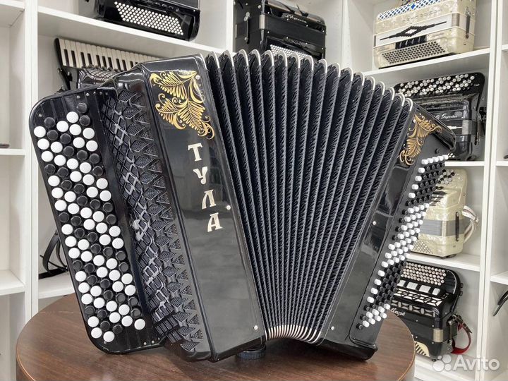 Баян Тула 209