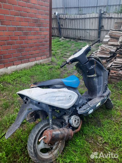 Рейсер лупус 125