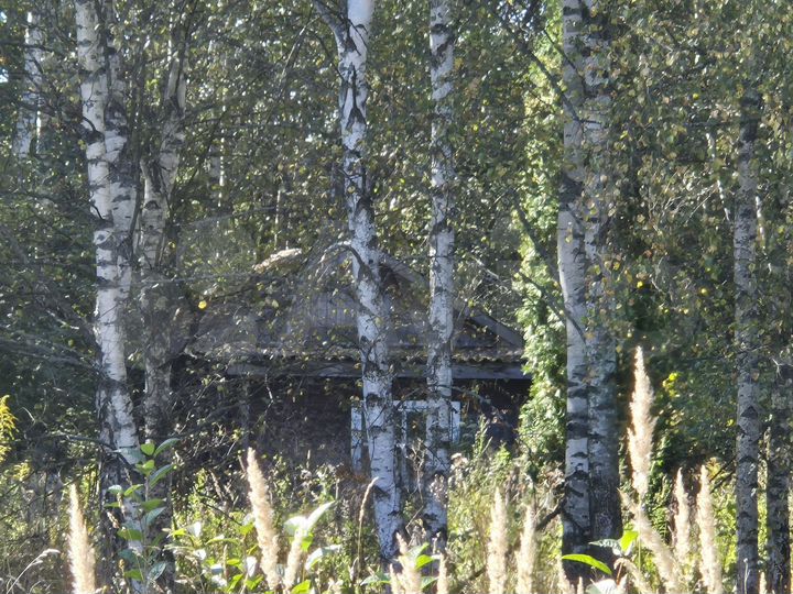 Дача 47,8 м² на участке 25 сот.