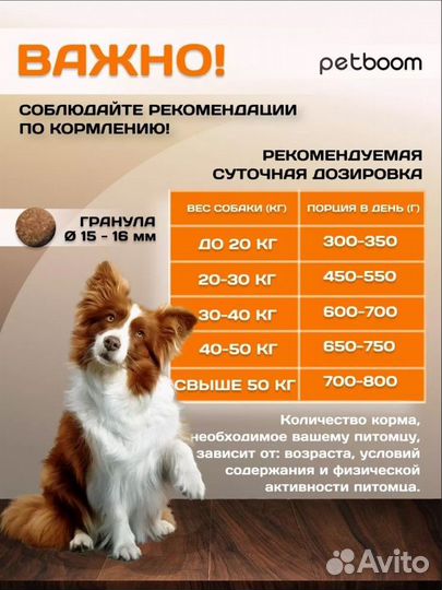 Корм для собак