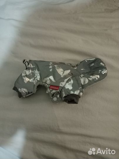 Собачья одежда