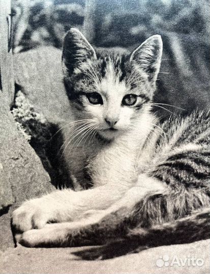 Самая милая книга на немецком. Винтаж