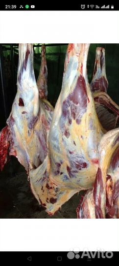 Продукты питания