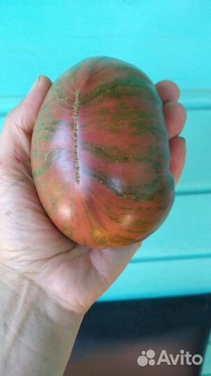 Семена собственного сбора