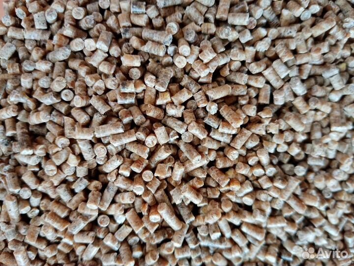 Корм для перепелов от старта до несушки