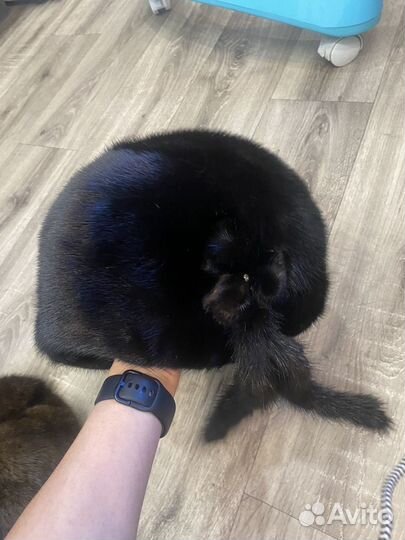 Норковая шапка