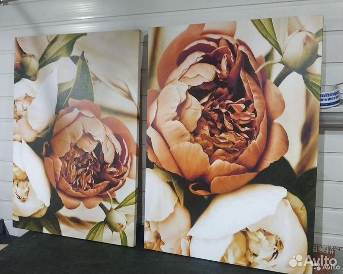 Картины пионы