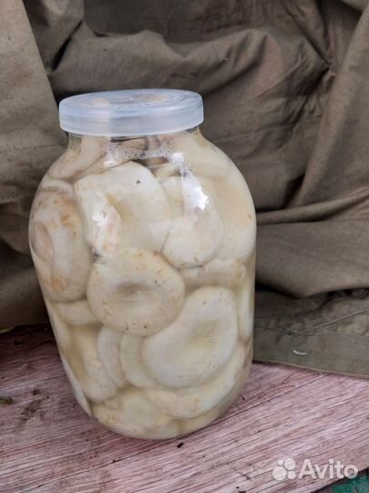Продам соленые грузди