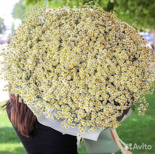 Букеты ромашек