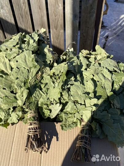 Дубовые веники для бани