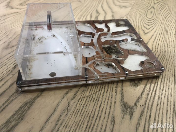 Муравьиная ферма без муравьев