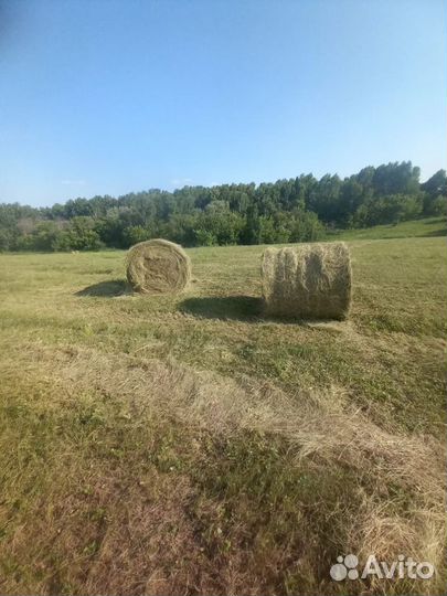 Сено в рулонах