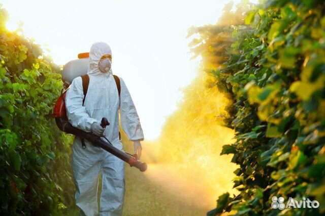 Обработка от клопов тараканов мух клещей Волгоград