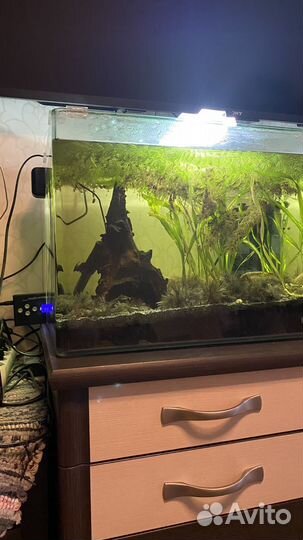 Аквариум Dennerle Scapers Tank 55 литров