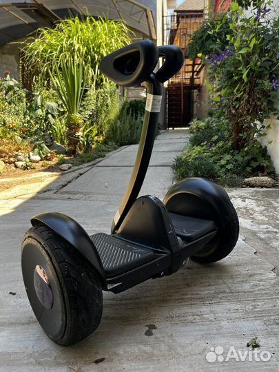 Segway ninebot mini