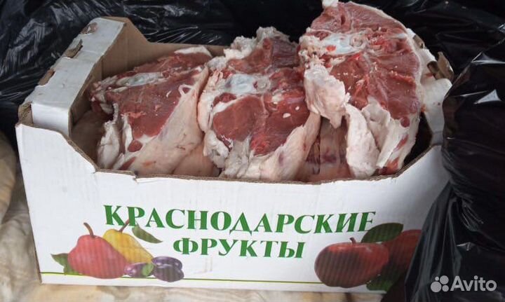 Мясо говядина