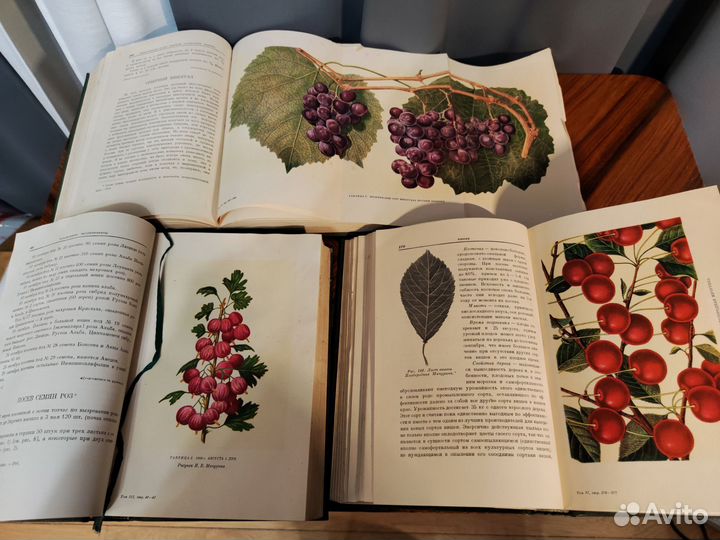 Книги И.В. Мичурин Сочинения