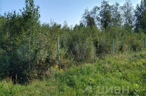 Участок 7,5 сот. (СНТ, ДНП)