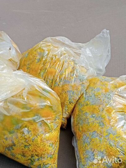 Варенье из одуванчиков