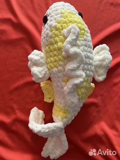 Рыбка карп Кои