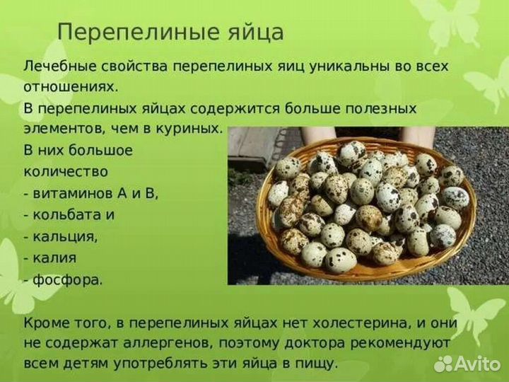 Яйца перепелиные и куриные домашние