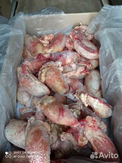 Мясо для собак :рубец, щётка, обрезь