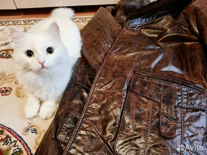 Кожаная куртка мужская