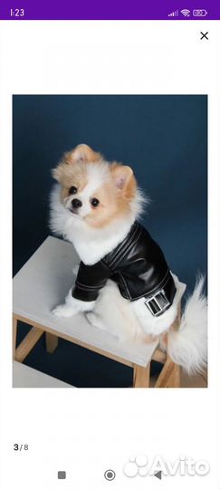 Куртка для маленькой собаки