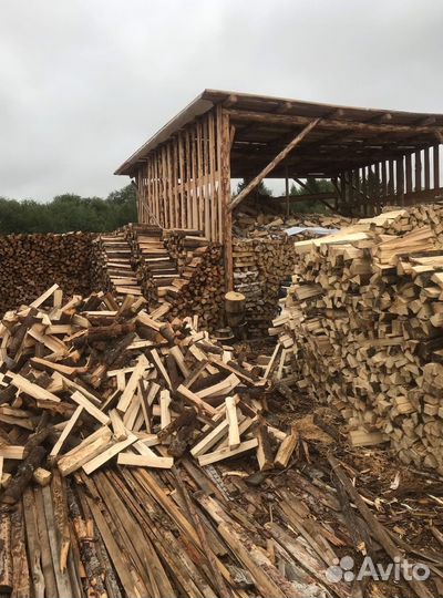 Дрова береза