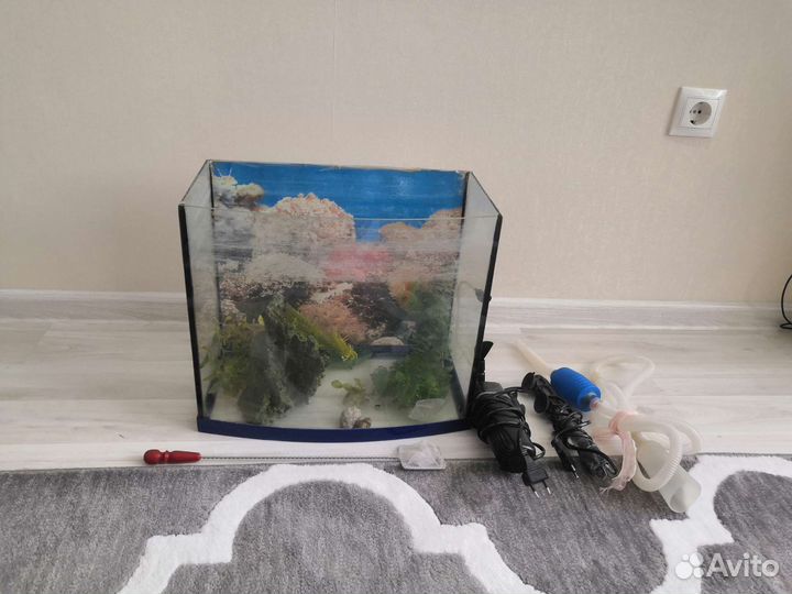 Аквариум