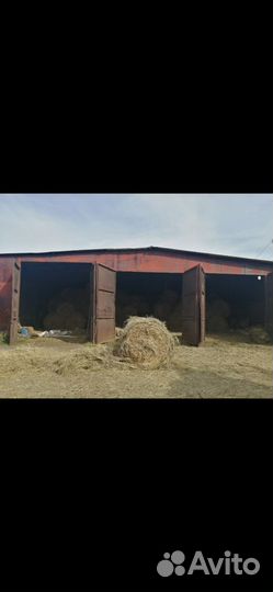 Сено в брикетах и рулонах, сенаж в упак., солома