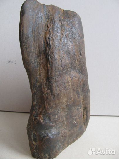 Окаменелое дерево (природная скульптура)