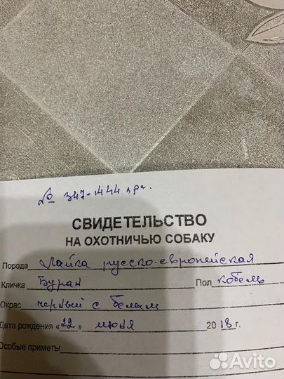 Кобель для вязки (рел)
