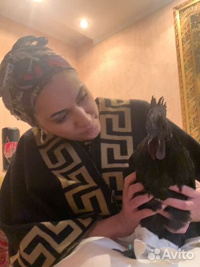 Экстрасенс Гадание Магия Приворот Гадалка Расклад