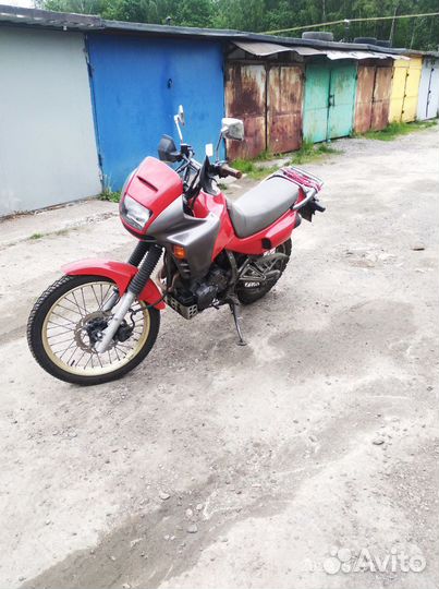 Honda Dominator NX650