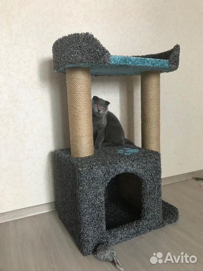 Когтеточка, домик кошке, котенка, лежанка